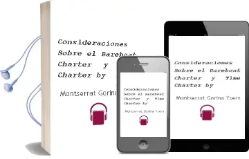 Descargar AudioLibro Consideraciones Sobre el 