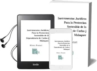 Descargar AudioLibro Instrumentos Jurídicos para la Protección Sostenible de la Dependencia. de Carlos J. Maluquer De Motes Bernet año 1990