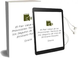 Descargar AudioLibro El Fair Value de las Provisiones Técnicas de los Seguros de Vida de Emiliano Pozuelo De Gracia año 1990