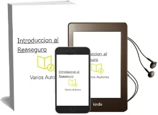 Descargar AudioLibro Introducción al Reaseguro de Varios Autores año 1990