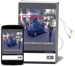 Descargar AudioLibro Reforma de los Delitos Contra la Seguridad Vial de Varios Autores año 1990