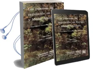 Descargar AudioLibro Los Procesos de Regulacion en Energia y Medio Ambiente de Juan J. Jardon año 1990