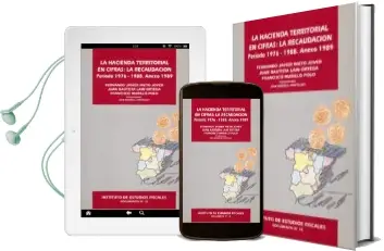 Descargar AudioLibro Hacienda Territorial en Cifras Recaudacion...1976-88. Anexo 1989 de Varios Autores año 1991