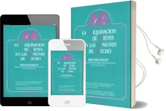 Descargar AudioLibro La Liquidacion de Bienes en las Uniones de Hecho Notas y Relacion de Sentencias del Derecho Español de Bernard Demain año 1992