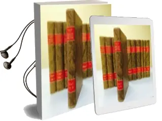 Descargar AudioLibro Derecho Civil Español, Comun y Foral (T.Ii: Vol. 2): Derecho de Cosas: Los Derechos Reales Restringidos (15ªed.) de Jose Castan Tobeñas año 1994