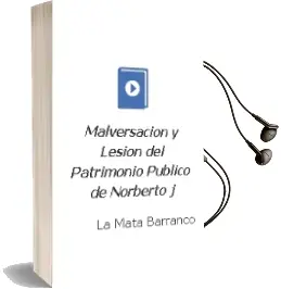 Descargar AudioLibro Malversacion y Lesion del Patrimonio Publico de Norberto J. De La Mata Barranco año 1995