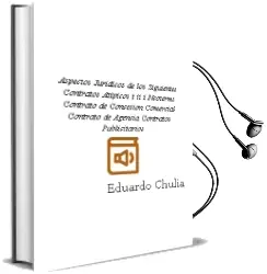 Descargar AudioLibro Aspectos Juridicos de los Siguientes Contratos Atipicos (T.Ii): I Ncoterms; Contrato de Concesion Comercial; Contrato de Agencia; Contratos Publicitarios de Eduardo Chulia Vicent año 1995