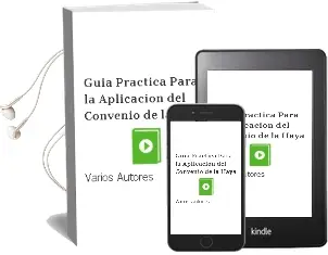 Descargar AudioLibro Guia Practica para la Aplicacion del Convenio de la Haya de Varios Autores año 1996