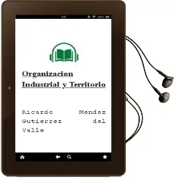 Descargar AudioLibro Organizacion Industrial y Territorio de Ricardo Mendez Gutierrez Del Valle año 1996