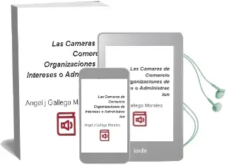 Descargar AudioLibro Las Camaras de Comercio Organizaciones de Intereses o Administrac ion? de Angel J. Gallego Morales año 1997