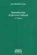 AudioLibro Introduccion al Proceso Laboral (5ª Ed.) de Juan Nontero Aroca