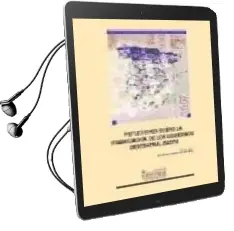 Descargar AudioLibro Reflexiones Sobre la Financiacion de los Gobiernos Descentralizad os de Francisco Jesus Gil Gimenez año 2000