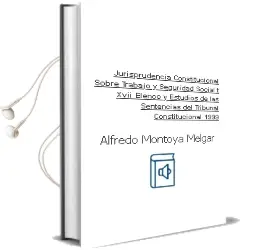 Descargar AudioLibro Jurisprudencia Constitucional Sobre Trabajo y Seguridad Social (t . Xvii) Elenco y Estudios de las Sentencias del Tribunal Constitucional (1999) de Alfredo Montoya Melgar año 2000
