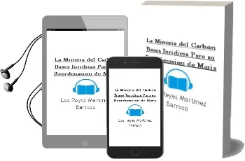 Descargar AudioLibro La Mineria del Carbon: Bases Juridicas para su Reordenacion de Maria De Los Reyes Martinez Barroso año 2000