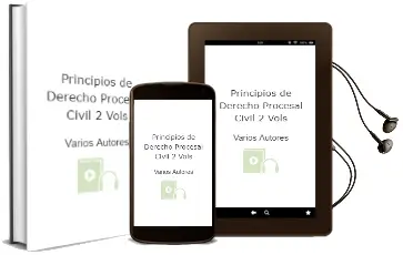 Descargar AudioLibro Principios de Derecho Procesal Civil (2 Vols.) de Varios Autores año 2000