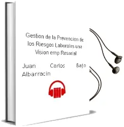 Descargar AudioLibro Gestion de la Prevencion de los Riesgos Laborales. una Vision emp Resarial de Juan Carlos Bajo Albarracin año 2001