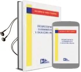 Descargar AudioLibro Delincuencia Informatica y Derecho Penal de Ricardo M. Mata Y Martin año 2001