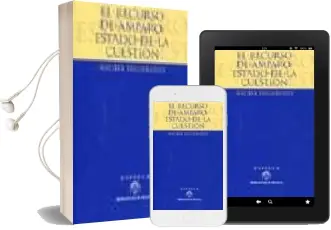 Descargar AudioLibro El Recurso de Amparo: Estado de la Cuestion de Angela Figueruelo año 2001