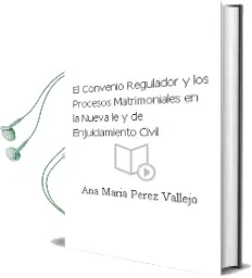 Descargar AudioLibro El Convenio Regulador y los Procesos Matrimoniales en la Nueva le y de Enjuiciamiento Civil de Ana Maria Perez Vallejo año 2001