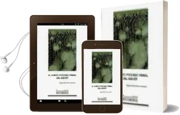 Descargar AudioLibro El Nuevo Proceso Penal del Menor de Agata Maria Sanz Hermida año 2002