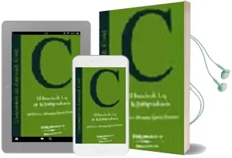 Descargar AudioLibro El Fraude de ley en la Jurisprudencia de Mª Dolores Mezquita Garcia Granero año 2003