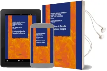 Descargar AudioLibro Practicas de Derecho Comunitario Europeo de Varios Autores año 2003