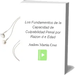 Descargar AudioLibro Los Fundamentos de la Capacidad de Culpabilidad Penal por Razon d e Edad de Andres Martin Cruz año 2004