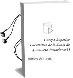 Descargar AudioLibro Cuerpo Superior Facultativo de la Junta de Andalucia: Temario (vo l. i) de Varios Autores año 2004