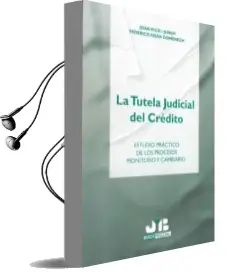 Descargar AudioLibro La Tutela Judicial del Credito: Estudio Practico de los Procesos Monitorio y Cambiario de Joan Pico I Punoy año 2005