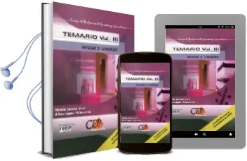 Descargar AudioLibro Cuerpo de Profesores de Enseñanza Secundaria: Lengua y Literatura : Temario (Vol. Iii) de Noelia Ibarra Rius año 2005