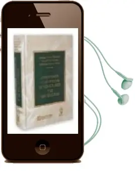 Descargar AudioLibro Comentarios a las Leyes de Fundaciones y Mecenazgo de Miguel Cruz Amoros año 2005