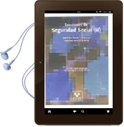 Descargar AudioLibro Lecciones de Seguridad Social (Ii): Seguridad Social y Empresa: R Egimen General y Reta de Juan P. (Dir.) Landa año 2005