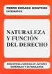 AudioLibro Naturaleza y Funcion del Derecho de Pedro Dorado Montero