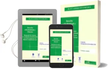 Descargar AudioLibro Derecho a la Identidad y Filiacion: Busqueda de Origenes en Adopcion Internacional y en Otros Supuestos de Filiacion de Blanca Gomez Bengoechea año 2007