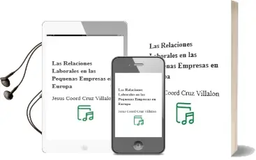 Descargar AudioLibro Las Relaciones Laborales en las Pequeñas Empresas en Europa de Jesus (Coord.) Cruz Villalon año 2007