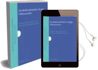 Descargar AudioLibro Medios Electronicos de Pago: Problemas Juridicos de Ricardo M. Mata Y Martin año 2007