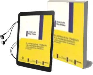Descargar AudioLibro El Derecho al Trabajo y el Ingreso Basico ¿Como Garantizar el der Echo al Trabajo? de Jose Luis Rey Perez año 2007
