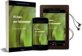 Descargar AudioLibro Daño por Intromision de Jose Ignacio Cano Martinez Velasco año 2007