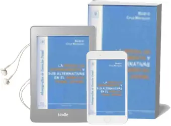 Descargar AudioLibro La Medida de Internamiento y sus Alternativas en el Derecho Penal Juvenil de Beatriz Cruz Marquez año 2007