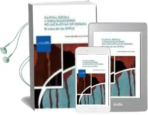 Descargar AudioLibro Capital Social y Organizaciones no Lucrativas en España. el Caso de las Ongd de Carmen (Coord) Marcuello Servos año 2007