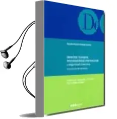 Descargar AudioLibro Derechos Humanos, Responsabilidad Internacional y Seguridad Colec Tiva de Rosario Huesa Vinaixa año 2008