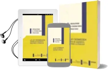 Descargar AudioLibro La ley Desmedida: Estudios de Legislacion, Seguridad y Jurisdicci on de L. Martinez Roldan año 2008