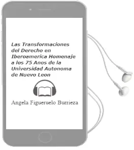 Descargar AudioLibro Las Transformaciones del Derecho en Iberoamerica: Homenaje a los 75 Años de la Universidad Autonoma de Nuevo Leon de Angela Figueruelo Burrieza año 2008