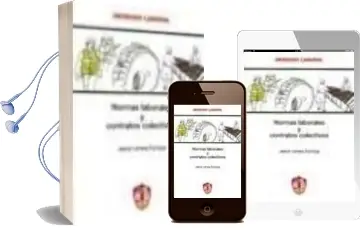 Descargar AudioLibro Normas Laborales Convenios Colectivos de Varios Autores año 2008