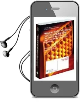 Descargar AudioLibro Manual Practico Sobre la Ejecucion Penal las Medidas Alternativas a la Prision de Vicente Magro Servet año 2008