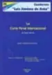 AudioLibro La Corte Penal Internacional: Un Largo Camino de Maria Isabel Cid Muñoz