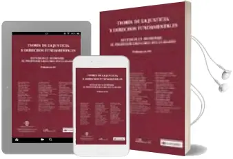 Descargar AudioLibro Teoria de la Justicia y Derechos Fundamentales: Estudios en Homen aje al Profesor Gregorio Peces-Barba de Varios Autores año 2008