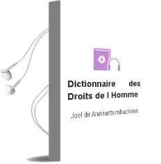 Descargar AudioLibro Dictionnaire des Droits de l Homme de Joël (Dir.) Andriantsimbazovina año 2008