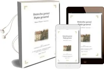 Descargar AudioLibro Derecho Penal. Parte General (6ª ed) de Miguel Polaino Navarrete año 2008