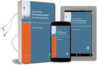 Descargar AudioLibro La Prevencion de los Riesgos Laborales de Caracter Psicosocial de Maria Pilar Rivas Vallejo año 2009